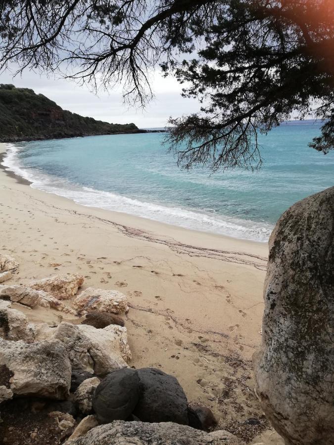 Appartamenti Le Conchiglie E Le Stelle Marine Cala Gonone Luaran gambar