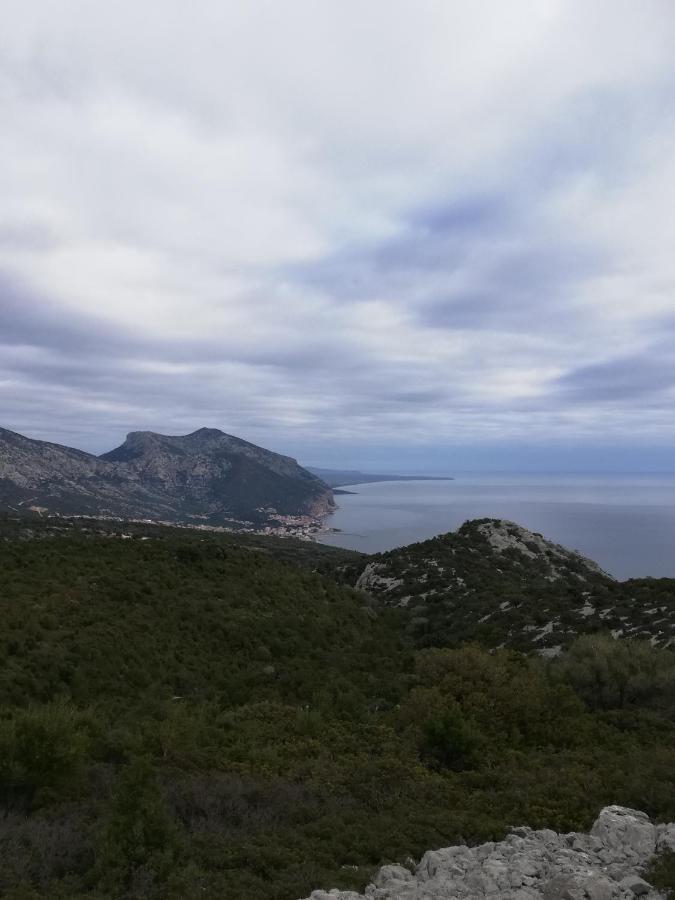 Appartamenti Le Conchiglie E Le Stelle Marine Cala Gonone Luaran gambar