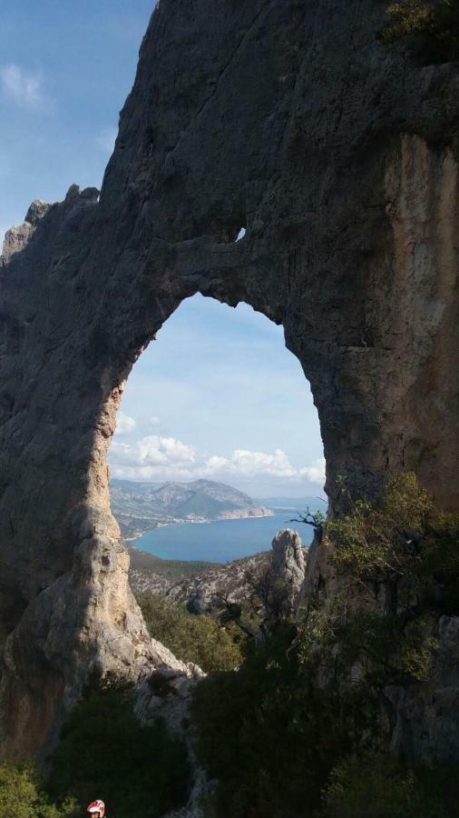 Appartamenti Le Conchiglie E Le Stelle Marine Cala Gonone Luaran gambar